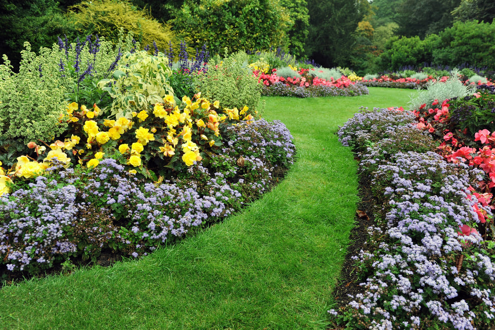 trabajo de jardineria 1