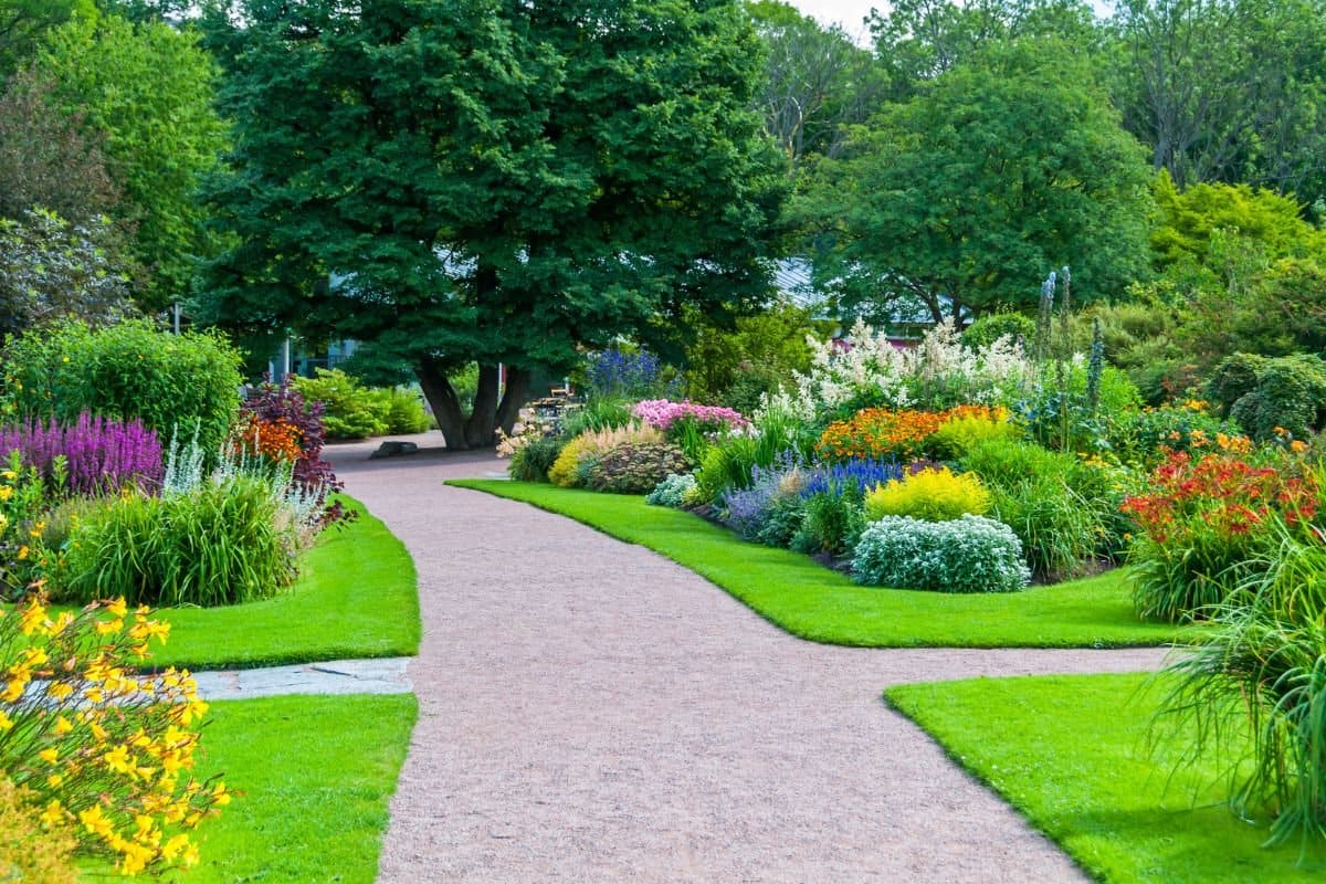 trabajo de jardineria 2 Bizkaia - Vizcaya